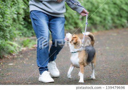 一位擁有比格犬的男士,一張他牽著狗散步的微笑肖像,一張沒有面孔但眼神交流的照片,讓人聯想到訓練和紀律。 一位擁有比格犬的男士,一張他牽著狗散步的微笑肖像,一張沒有面孔但眼神交流的照片,讓人聯想到訓練和紀律。 139479696