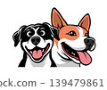Two dogs 139479861