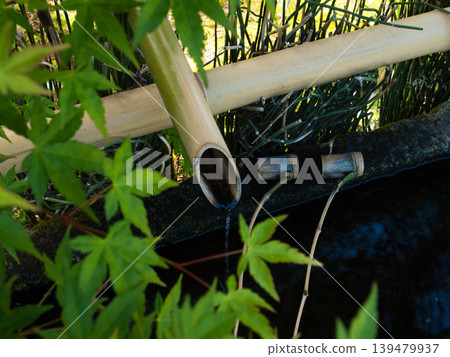 Green maple leaves and a water basin for purification. Green maple leaves and a water basin for purification. 139479937