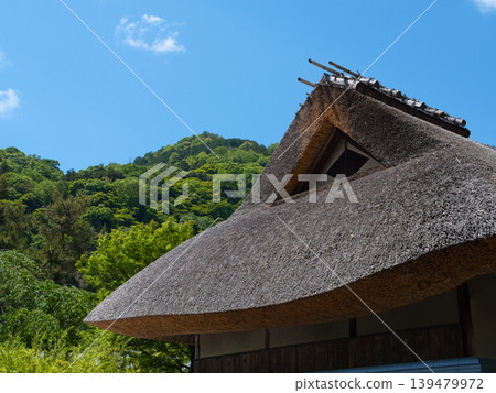 Scenery with a roof Scenery with a roof 139479972