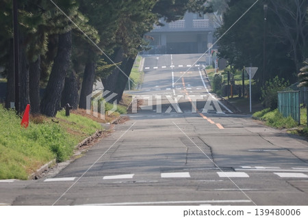樹木蔥鬱,道路筆直。 樹木蔥鬱,道路筆直。 139480006