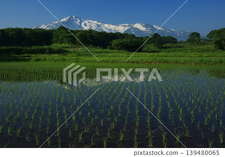 Mount Chokai and rice fields in spring Mount Chokai and rice fields in spring 139480065