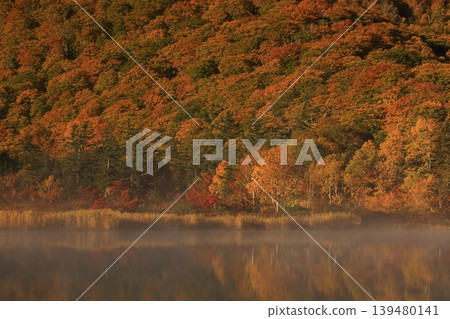 A mountain that turned red leaves A mountain that turned red leaves 139480141