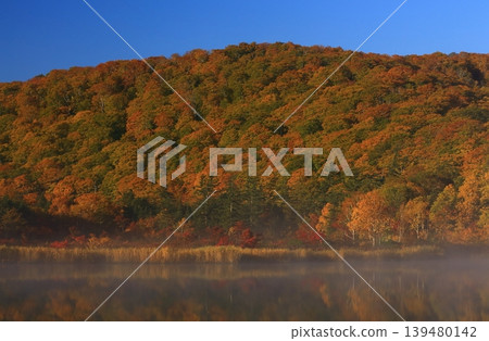 A mountain that turned red leaves A mountain that turned red leaves 139480142