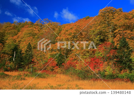 A mountain that turned red leaves A mountain that turned red leaves 139480148