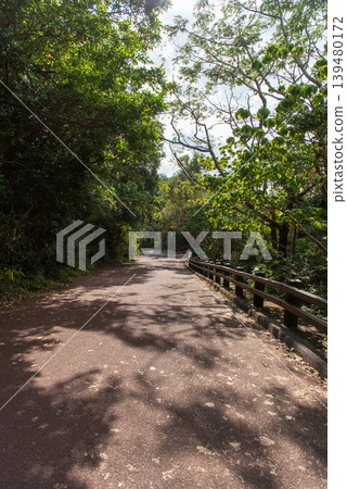 A walking path among the trees in the park A walking path among the trees in the park 139480172