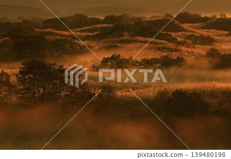 Rural village shrouded in morning mist 139480198