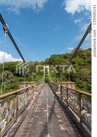 名護城公園內的櫻橋是一座懸索橋。 名護城公園內的櫻橋是一座懸索橋。 139480241