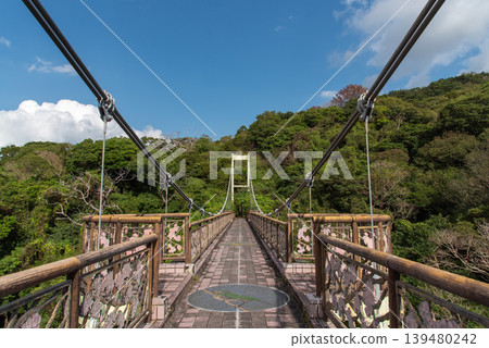 名護城公園內的櫻橋是一座懸索橋。 名護城公園內的櫻橋是一座懸索橋。 139480242