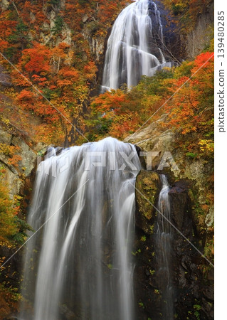 Autumn leaves shining against the blue sky at the waterfall Autumn leaves shining against the blue sky at the waterfall 139480285