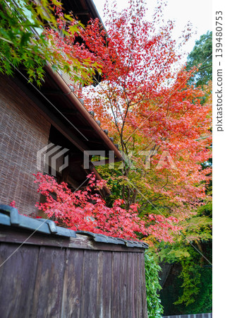 Autumn leaves of a maple tree seen over a wooden fence of a private house in Kyoto. Autumn leaves of a maple tree seen over a wooden fence of a private house in Kyoto. 139480753