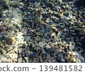 beautiful coral at blue sea with waves and blue sky, Gorontalo, Indonesia 139481582