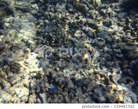beautiful coral at blue sea with waves and blue sky, Gorontalo, Indonesia beautiful coral at blue sea with waves and blue sky, Gorontalo, Indonesia 139481582