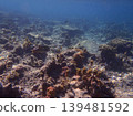 beautiful coral at blue sea with waves and blue sky, Gorontalo, Indonesia 139481592