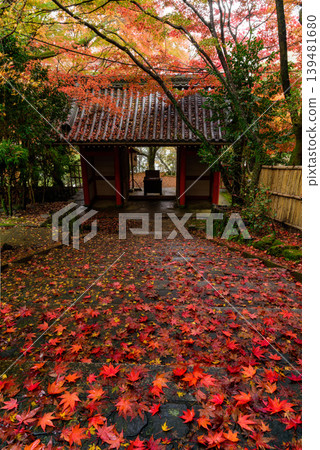 這是一幅深秋時節的垂直構圖，展現了從京都金藏寺院內望去，寺廟大門和石階上覆蓋著落葉的景象。 139481680