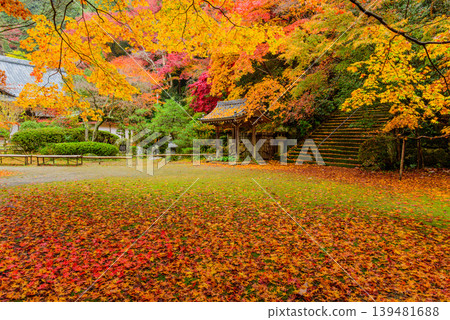 Autumn at Kinzo-ji Temple in Kyoto: Autumn leaves scattered across the main hall plaza and dried persimmons hanging at the water basin. Autumn at Kinzo-ji Temple in Kyoto: Autumn leaves scattered across the main hall plaza and dried persimmons hanging at the water basin. 139481688