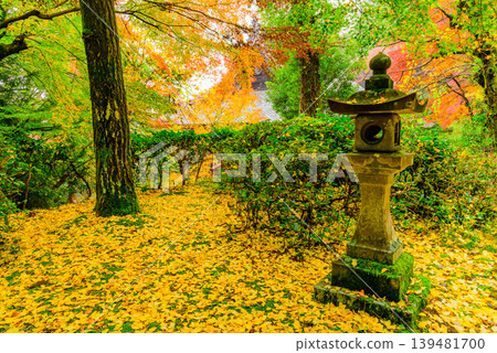 Colorful autumn leaves and fallen leaves adorn the founder's hall of Kinzo-ji Temple in Kyoto. Colorful autumn leaves and fallen leaves adorn the founder's hall of Kinzo-ji Temple in Kyoto. 139481700