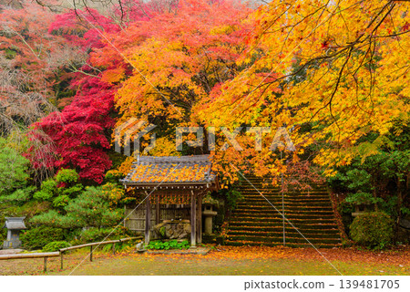 Autumn at Kinzo-ji Temple in Kyoto: Autumn leaves scattered across the main hall plaza and dried persimmons hanging at the water basin. Autumn at Kinzo-ji Temple in Kyoto: Autumn leaves scattered across the main hall plaza and dried persimmons hanging at the water basin. 139481705
