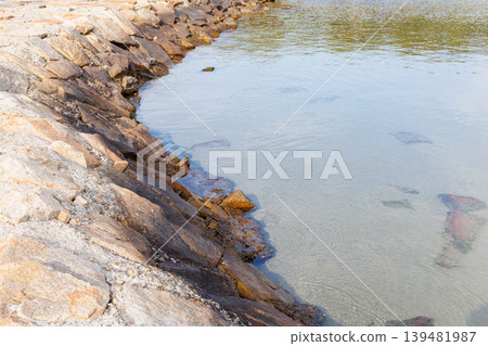 A stone-reinforced pier on the coast 139481987