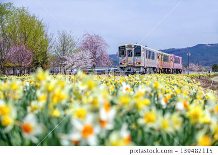 水仙花和火車 水仙花和火車 139482115