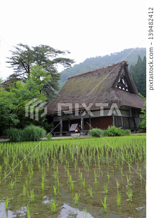 春日陰天的白川鄉 春日陰天的白川鄉 139482412