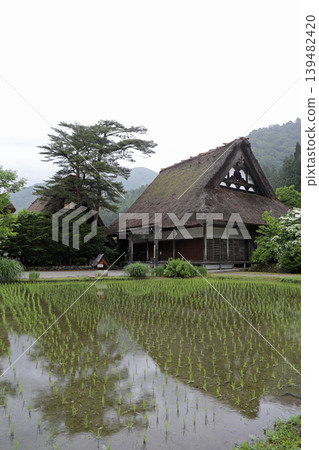 春日陰天的白川鄉 春日陰天的白川鄉 139482420