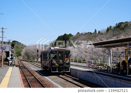 滋賀縣甲賀市信樂站：一列火車（SKR311系列柴油動車組）停靠在月台上（春季） 139482521