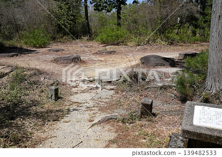 滋賀縣甲賀市信樂宮講堂遺址(大野地區)(春季) 滋賀縣甲賀市信樂宮講堂遺址(大野地區)(春季) 139482533