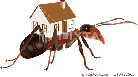 red ant with dwelling on his back back 139482663