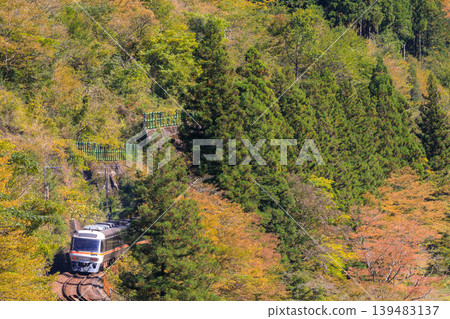 Watching the Takayama Main Line, running along the Hida River gorge, disappear into the autumn foliage. Watching the Takayama Main Line, running along the Hida River gorge, disappear into the autumn foliage. 139483137