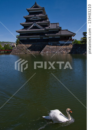 Matsumoto Castle Park scenery Matsumoto Castle Park scenery 139483210