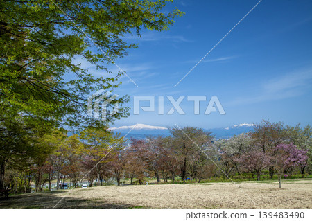 春山 春山 139483490