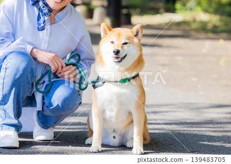 一隻散步的柴犬 139483705