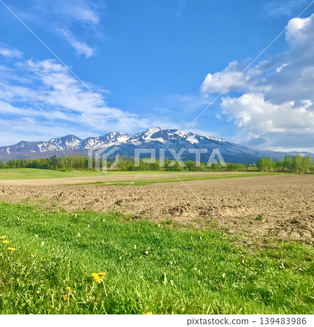 Spring landscape with snowy mountains Spring landscape with snowy mountains 139483986