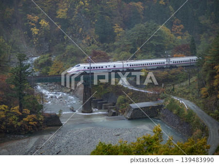 Shinkansen train running through autumn leaves Shinkansen train running through autumn leaves 139483990