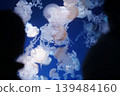 The silhouette of a person and the image of floating jellyfish. 139484160