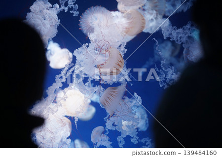 一個人的輪廓和漂浮的水母圖像。 139484160
