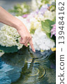 Hydrangeas floating on water and a woman's hands creating ripples. 139484162