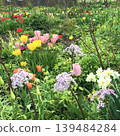 花園（植物園中的混合花卉） 139484284