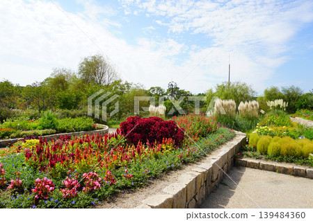 藍天白雲,綠樹成蔭的花園景色。 藍天白雲,綠樹成蔭的花園景色。 139484360