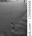 雪地上的腳印：單色冬季足跡 139484406