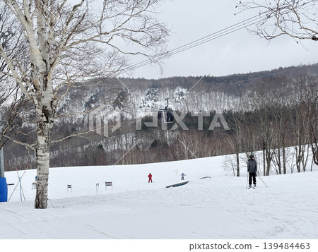 skiers enjoy activities at Annupuri ski resort, Niseko, Hokkaido, Japan 139484463