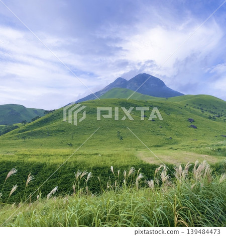 Quiet Volcano - Volcanic Green Quiet Volcano - Volcanic Green 139484473