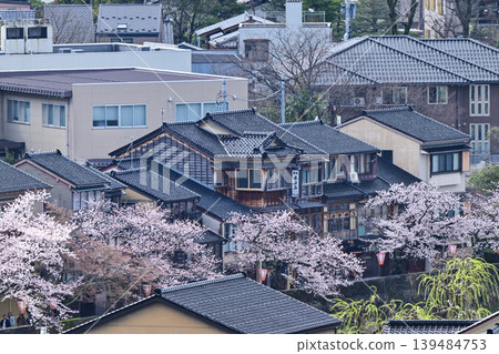 Cherry blossoms in Kanazawa Asano River neighborhood Cherry blossoms in Kanazawa Asano River neighborhood 139484753