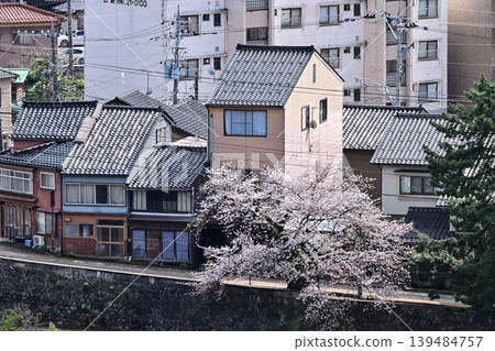 Cherry blossoms in Kanazawa Asano River neighborhood Cherry blossoms in Kanazawa Asano River neighborhood 139484757