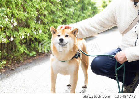 一隻散步的柴犬 139484778