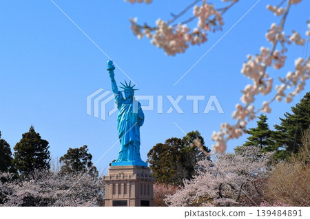The Statue of Liberty surrounded by cherry blossoms in full bloom | Spring scenery at Icho Park, Oirase Town, Aomori Prefecture The Statue of Liberty surrounded by cherry blossoms in full bloom | Spring scenery at Icho Park, Oirase Town, Aomori Prefecture 139484891