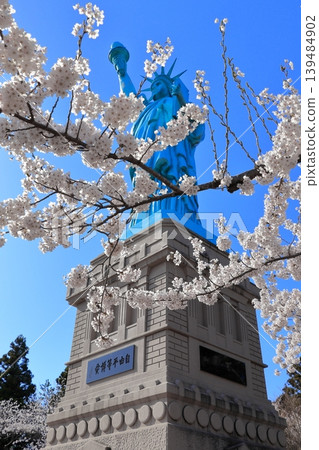 The Statue of Liberty surrounded by cherry blossoms in full bloom | Spring scenery at Icho Park, Oirase Town, Aomori Prefecture 139484902