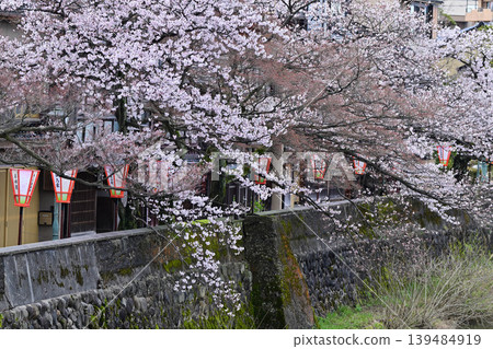 Beautiful cherry blossoms at Kazuemachi Chaya District Beautiful cherry blossoms at Kazuemachi Chaya District 139484919