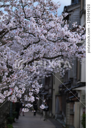 Beautiful cherry blossoms at Kazuemachi Chaya District Beautiful cherry blossoms at Kazuemachi Chaya District 139484928